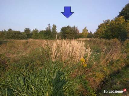 Działki budowlane 1,36 ha na dobrą inwestycję Markowice
