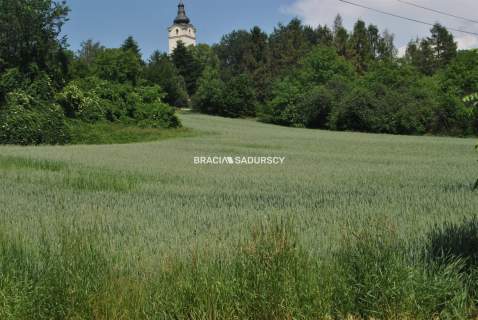 Duża działka inwestycyjna w Brzeziu gm.Kłaj