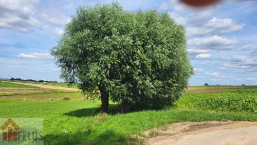 Działka rolno bud. pod zabudfowę zagrodową w okolicach Proszowic