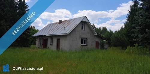 Sprzedam siedlisko 1,6 ha NIE potrzebna zgoda Kowr