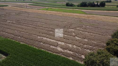 Działka 1,6 ha z WZ budownictwo mieszkaniowe i u