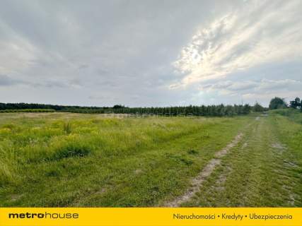5 ha w jednym kawałku - Potycz, 40 km od Warszawy