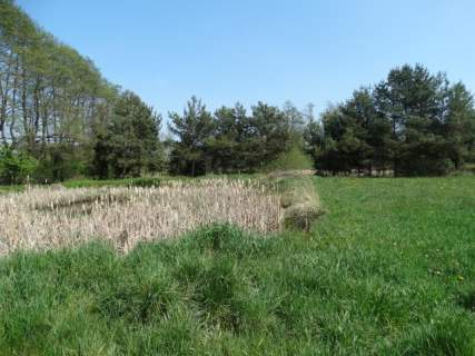 Działka budowlana na sprzedaż, 6300 m2, Adamowice