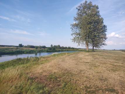 Działka z Potencjałem nad Rzeka Narew 8400m2 Targonie Wielki