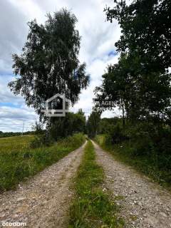 Działka z wydanymi warunkami, 5808 m2,Trzepowo