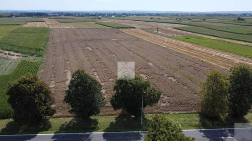 Działka 1,6 ha z WZ budownictwo mieszkaniowe i u