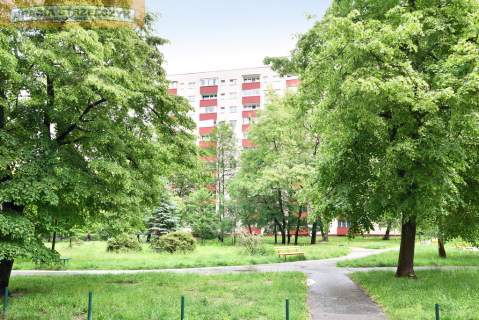 Wola - na sprzedaż - dwa pokoje, kuchnia widna