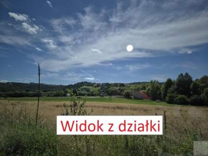 Działka rolna Gruszowa gmina Fredropol