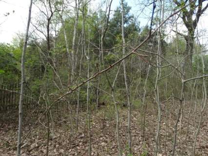 Działka budowlana na sprzedaż, 19206 m2, Miedniewice