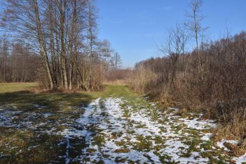 Działka budowlana na sprzedaż, 31100 m2, Stary Karolinów