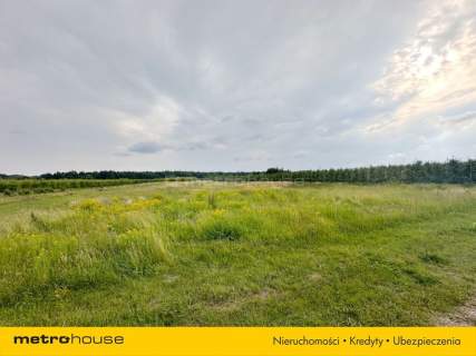 5 ha w jednym kawałku - Potycz, 40 km od Warszawy