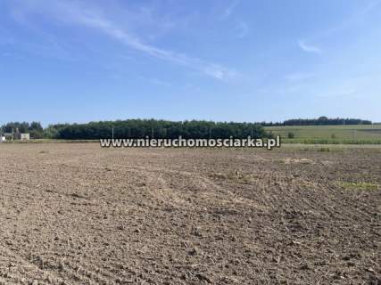 Działka budowlana 9 arów Gorzyce ul. Piaskowa