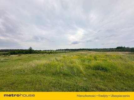 5 ha w jednym kawałku - Potycz, 40 km od Warszawy