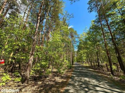Międzylesie, budowlana 2600m2 las.