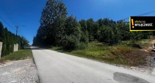 działka leśna z potencjałem zabudowy 5810 m