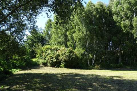 Działka leśna - 26.400m2 - DOBRA LOKALIZACJA 