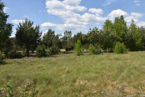 Działka budowlana na sprzedaż, 1039 m2, Mrozy