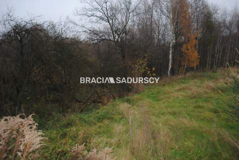 Działka rolna na sprzedaż, 17000 m2, Libertów