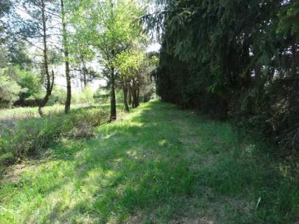 Działka budowlana na sprzedaż, 6300 m2, Adamowice