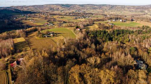 Działka leśna 78,13 ar Tuchów
