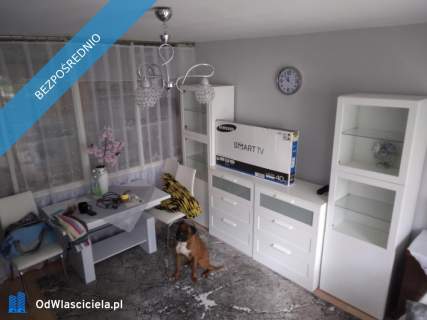 wynajmę mieszkanie LSM blisko uczelni i sklepów