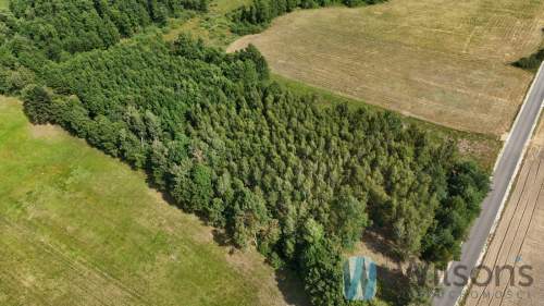 Zamieszkaj lub Inwestuj Działka 7100 m 