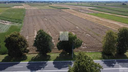Działka 1,6 ha z WZ budownictwo mieszkaniowe i u