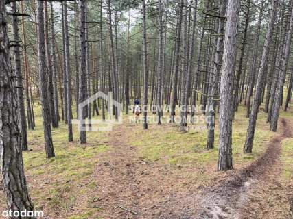 Działka usług.-mieszkaniowa, 1124 m2, Mikoszewo