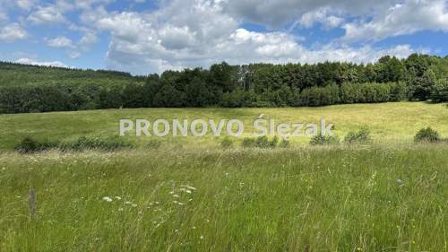 Sprzedam działkę inwestycyjną w Michałkowej