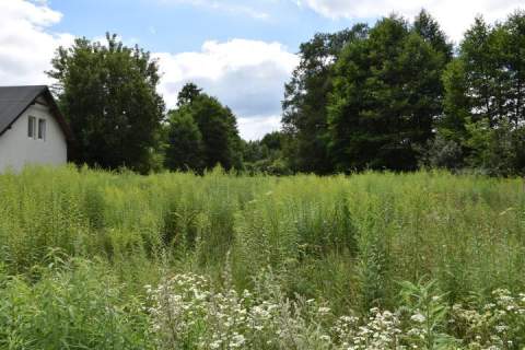 Działka budowlana na sprzedaż, 7500 m2, Długokąty