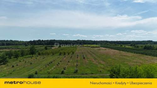 5 ha w jednym kawałku - Potycz, 40 km od Warszawy