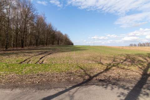 Działka rekreacyjno rolna Czarny Las 1,49ha