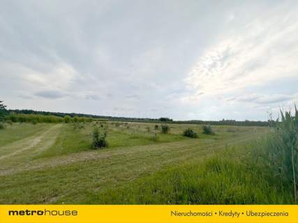 5 ha w jednym kawałku - Potycz, 40 km od Warszawy