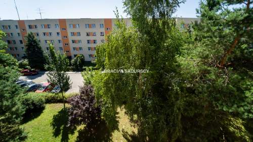 Aleksandry, mieszkanie z widokiem na zieleń.