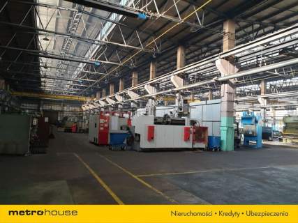Magazyn do wynajęcia, 5300 m2, Szczekociny