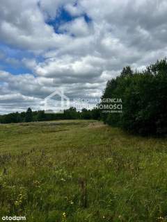 Atrakcyjna działka z WZ, 2913 m2, Trzepowo
