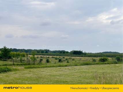 5 ha w jednym kawałku - Potycz, 40 km od Warszawy