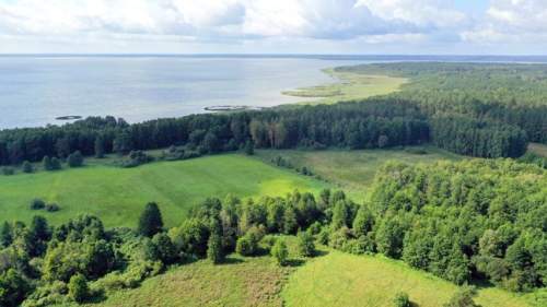 Działka rolna 1,54 ha Dziubiele gm Orzysz