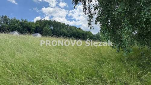 Sprzedam działkę inwestycyjną w Michałkowej