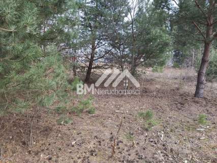 Dla dewelopera pod Grodziskiem Maz.
