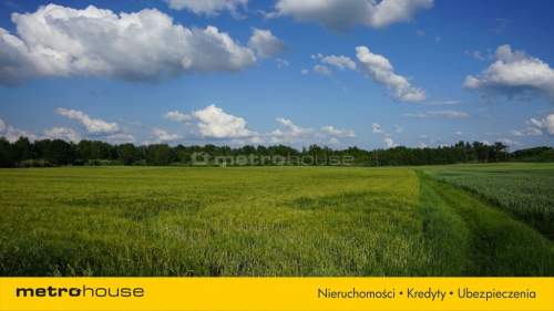 Działka inwestycyjna z linią brzegową jeziora 500m