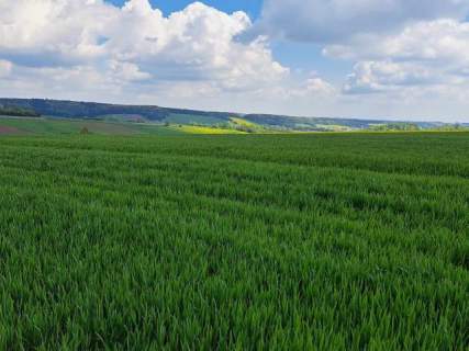 Piękna działka 18 km od Krakowa. Przybysławice, gmina Skała.