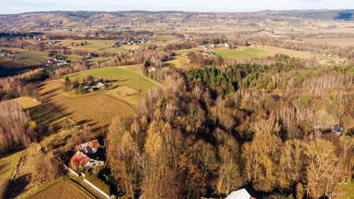 Działka leśna L3 38,45 ar Tuchów