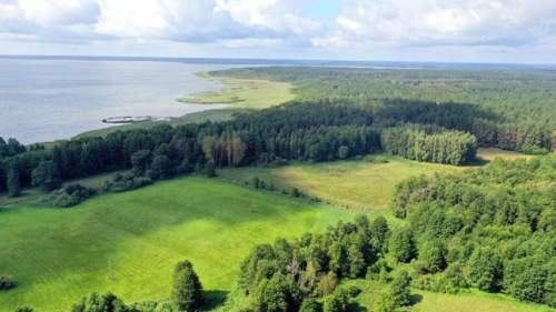Działka rolna 1,54 ha Dziubiele gm Orzysz