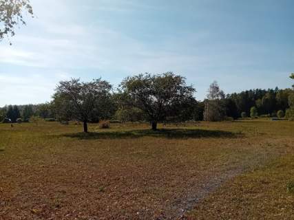 Działka budowlana Słójka