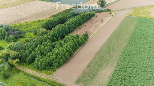 Działka inwestycyjna 7484 mkw Wilanów