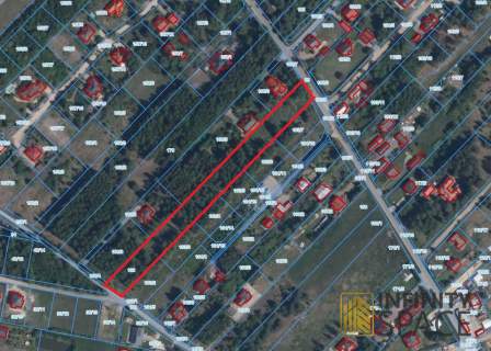 Działka 6000 m2 Zalesie k. Warszawy