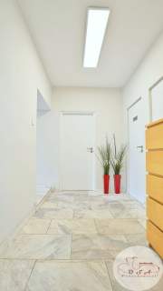 510m2 hala produkcyjno magazynowa i biura Krosinko