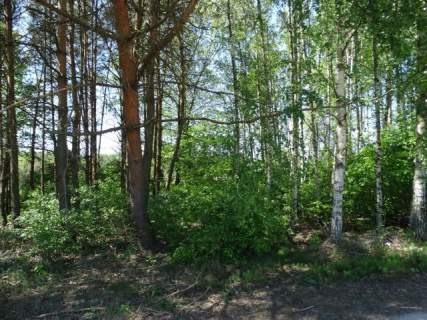 Działka leśna na sprzedaż, 41800 m2, Nowa Wieś