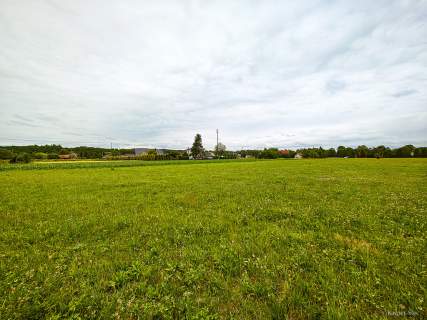 Działka Budowlana 2,5 ha w miejscowości Stróże